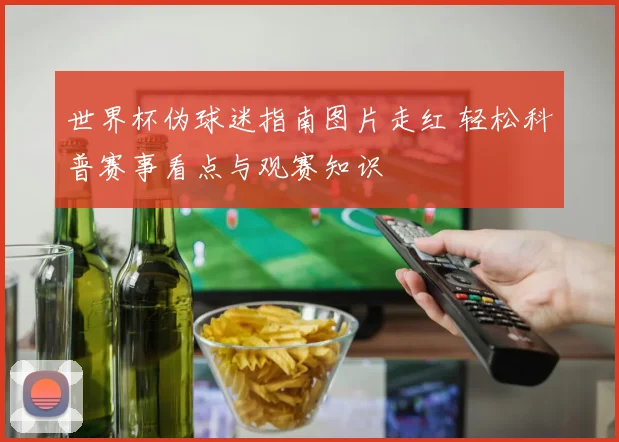 世界杯伪球迷指南图片走红 轻松科普赛事看点与观赛知识