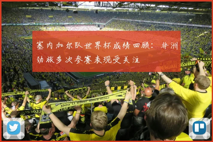 塞内加尔队世界杯成绩回顾:非洲劲旅多次参赛表现受关注